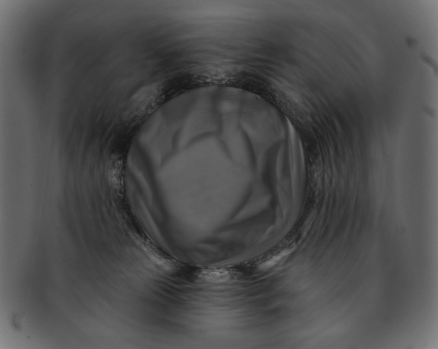 X0000091850181200709261214