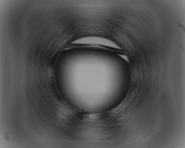 X0000091850184200709261214
