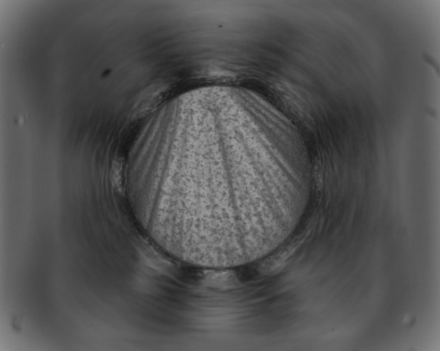 X0000091850185200709261214