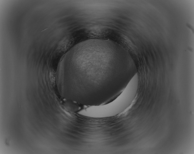 X0000091850186200709261214