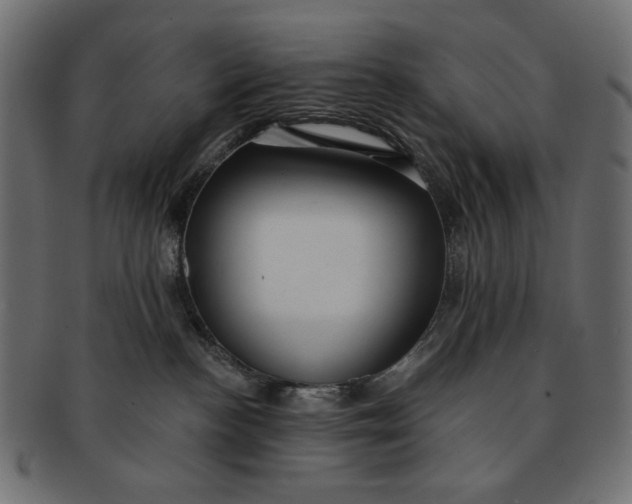 X0000091850188200709261214