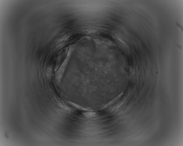 X0000091850189200709261214