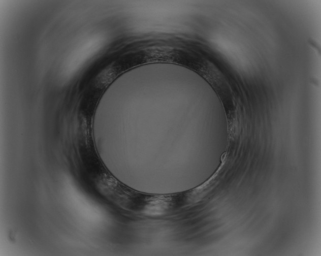 X0000091850191200709261214