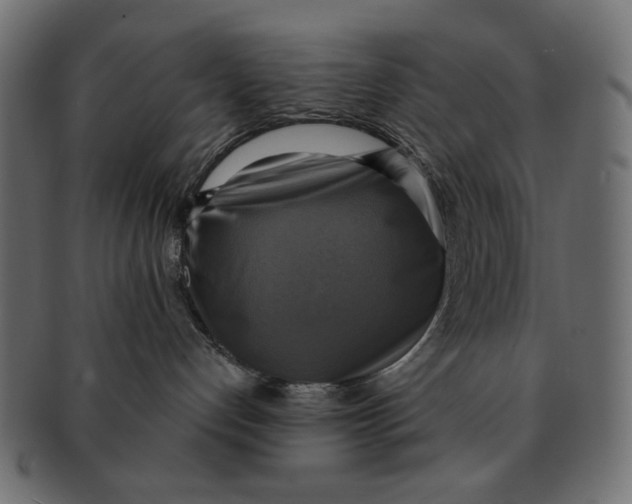 X0000091850192200709261214