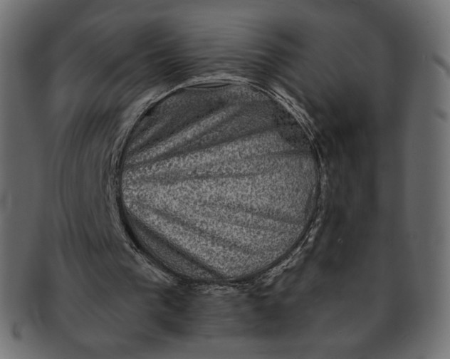 X0000091850193200709261214