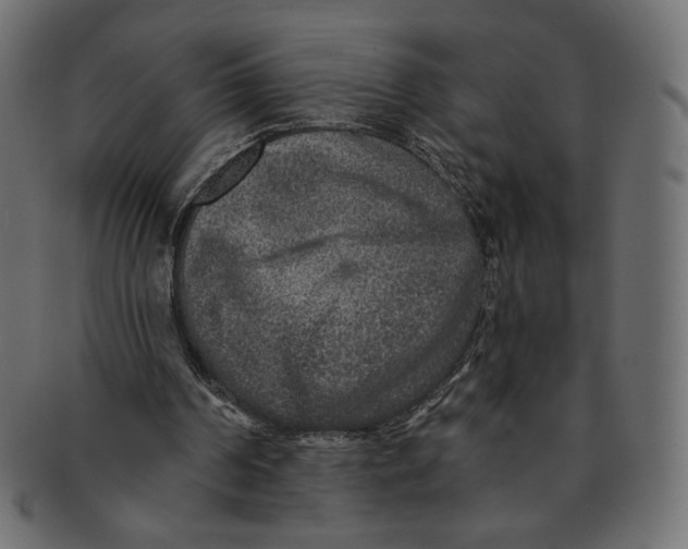 X0000091850194200709261214