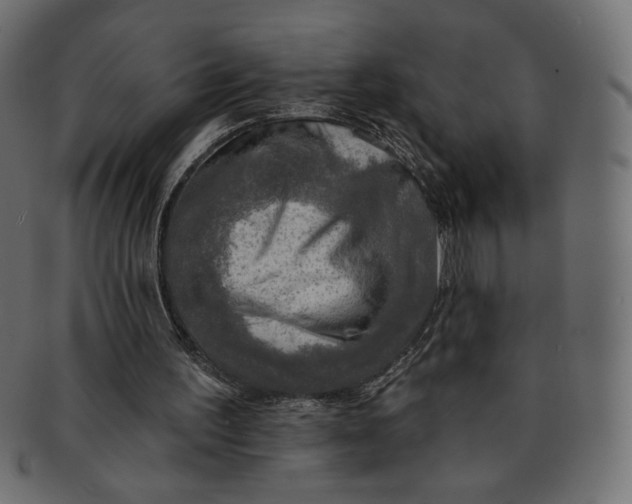 X0000091850195200709261214