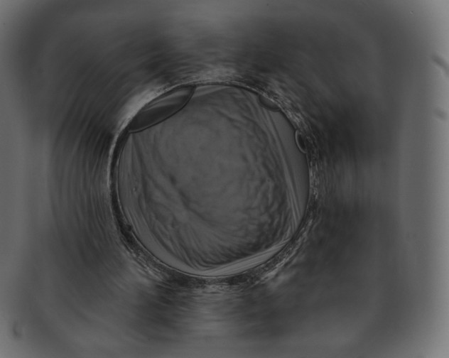 X0000091850196200709261214