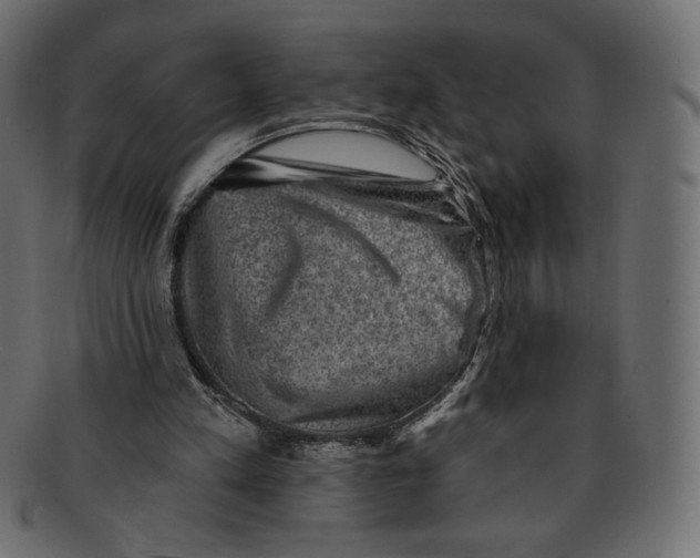 X0000091850197200709261214