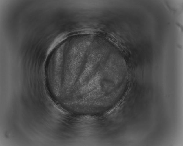 X0000091850198200709261214