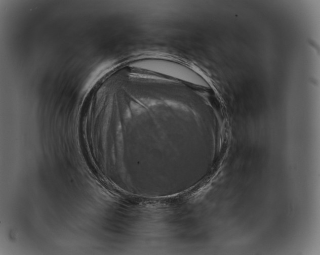 X0000091850199200709261214