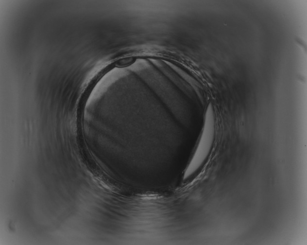 X0000091850200200709261214