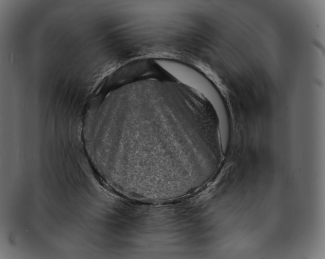 X0000091850201200709261214
