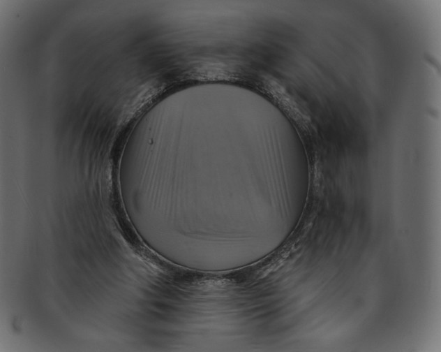 X0000091850202200709261214
