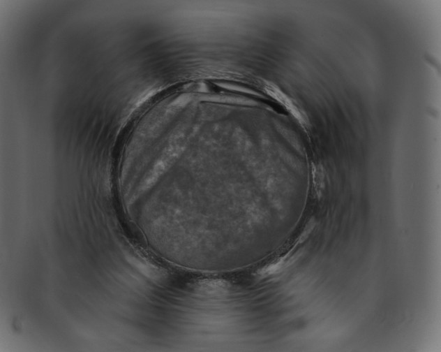 X0000091850203200709261214