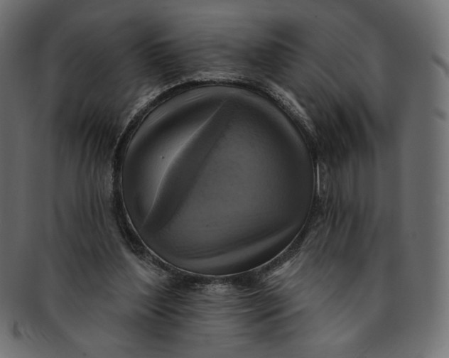 X0000091850204200709261214
