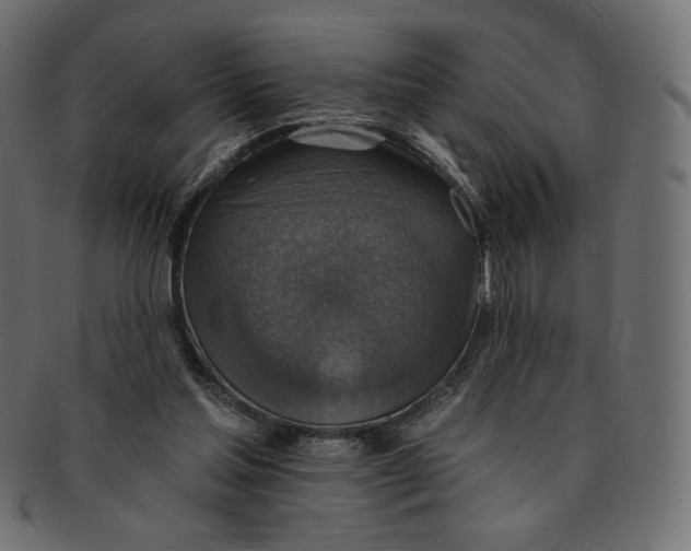 X0000091850205200709261214