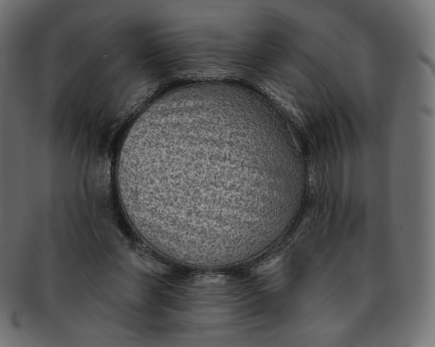X0000091850206200709261214