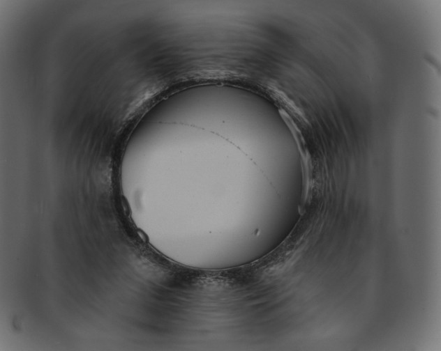 X0000091850207200709261214