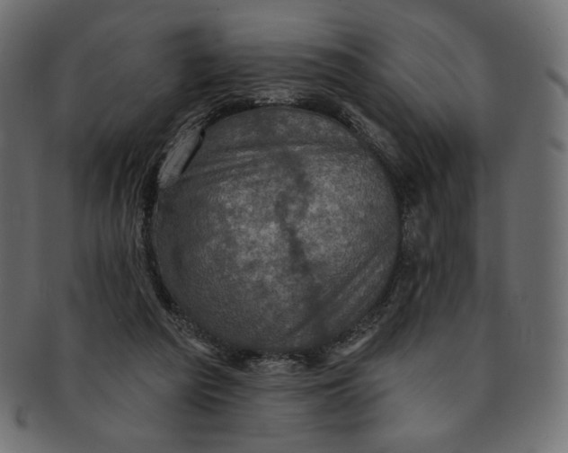 X0000091850209200709261214