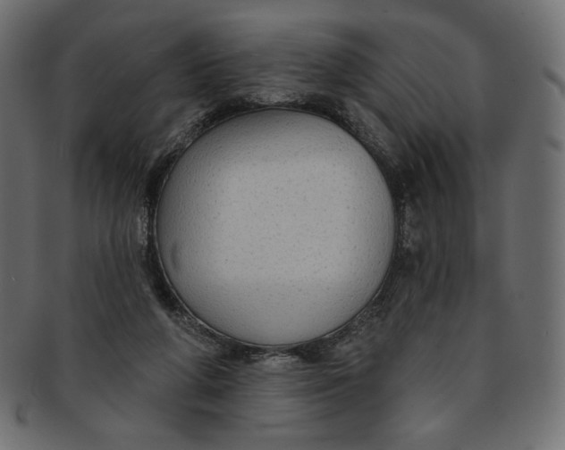 X0000091850210200709261214