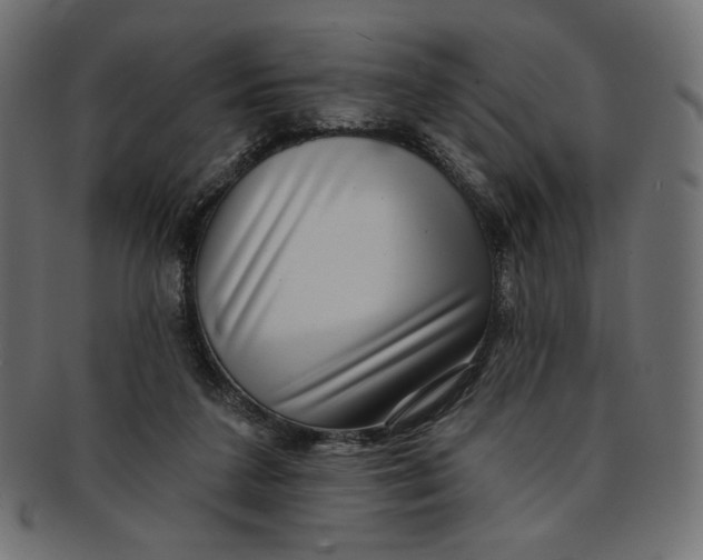 X0000091850211200709261214
