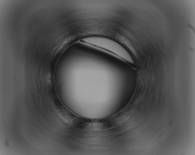 X0000091850212200709261214