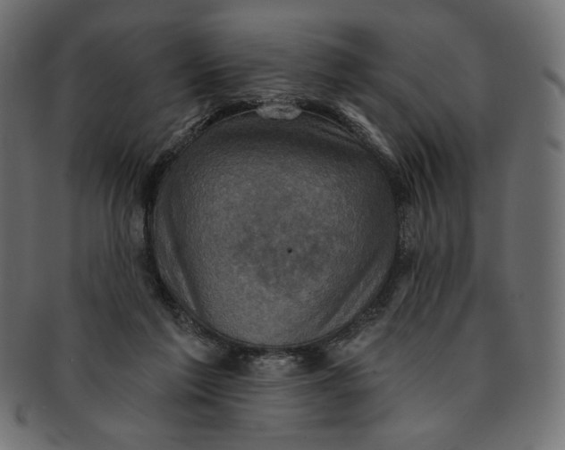 X0000091850213200709261214