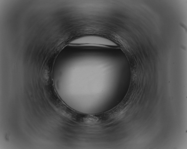 X0000091850215200709261214
