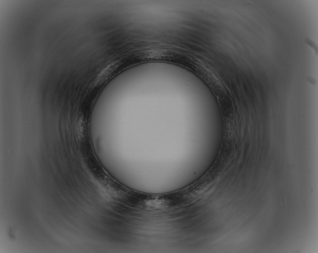 X0000091850216200709261214
