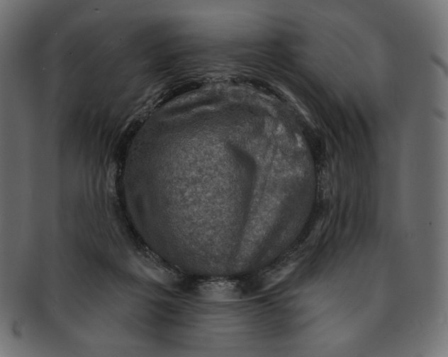 X0000091850217200709261214