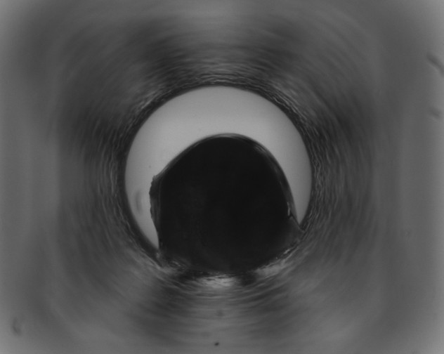 X0000091850219200709261214
