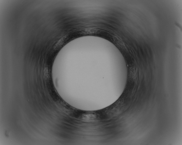 X0000091850220200709261214