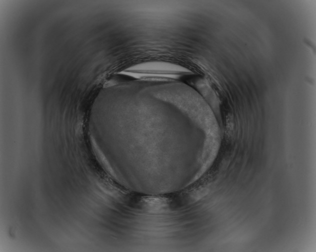 X0000091850221200709261214