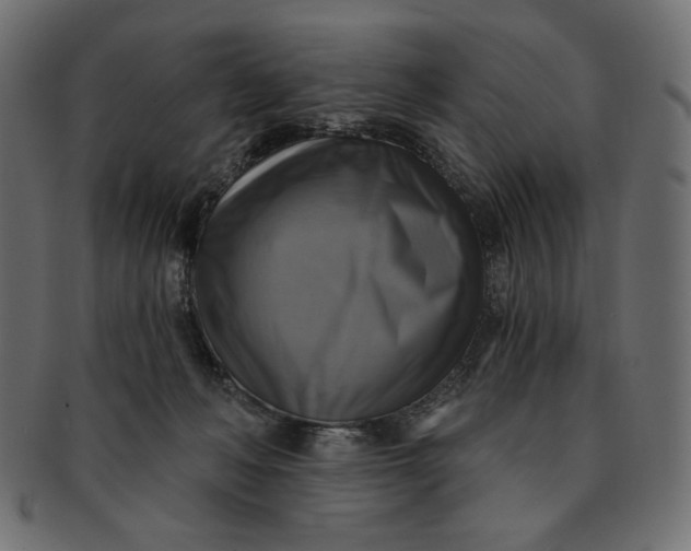 X0000091850222200709261214