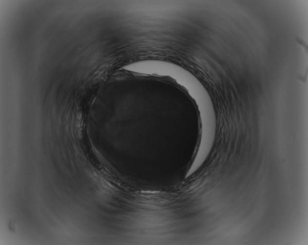 X0000091850223200709261214