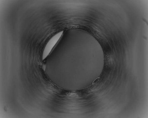 X0000091850224200709261214