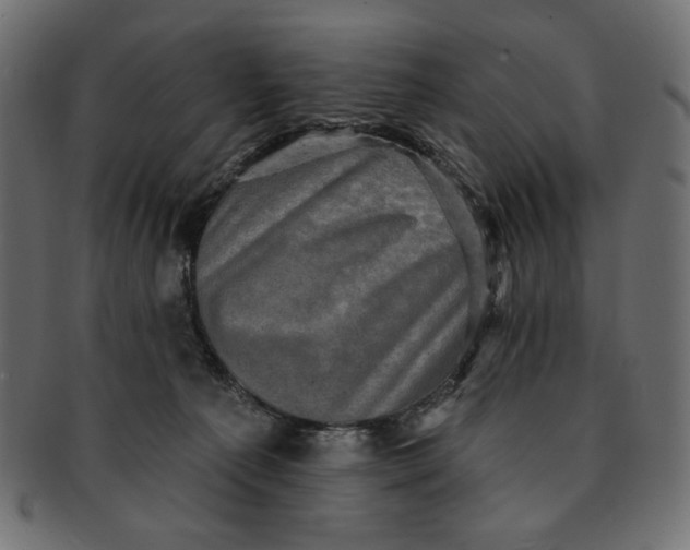 X0000091850225200709261214