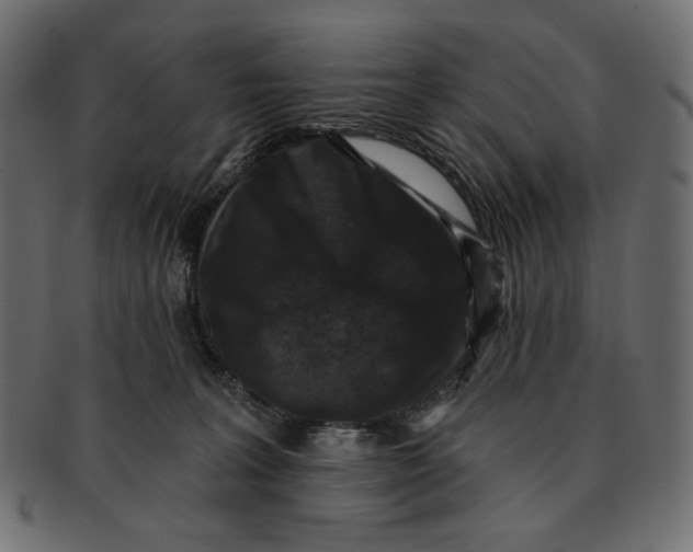 X0000091850227200709261213