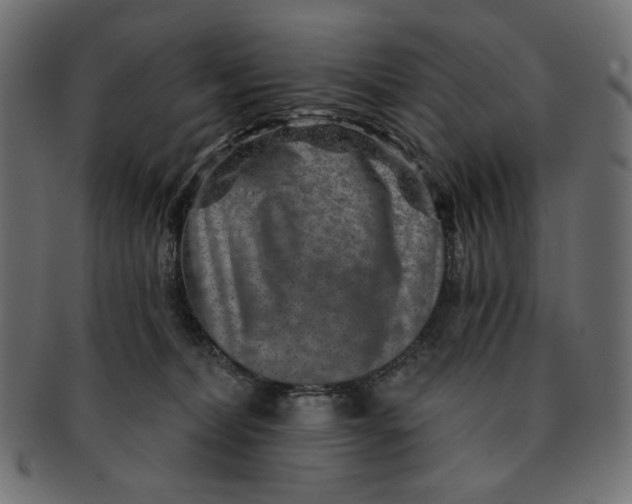 X0000091850228200709261213