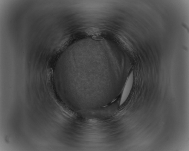 X0000091850229200709261213
