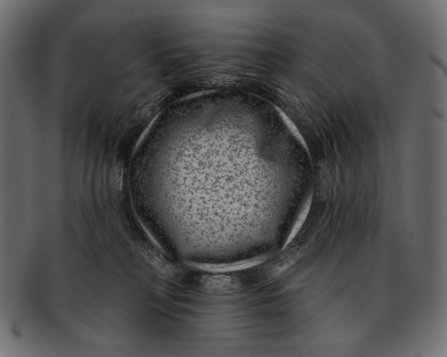 X0000091850230200709261213