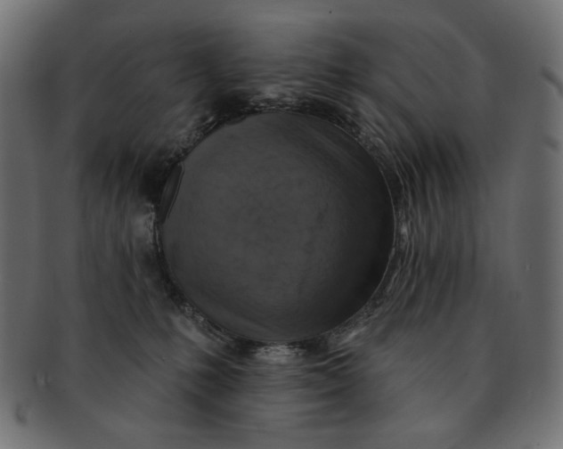 X0000091850231200709261213