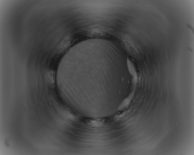 X0000091850232200709261213