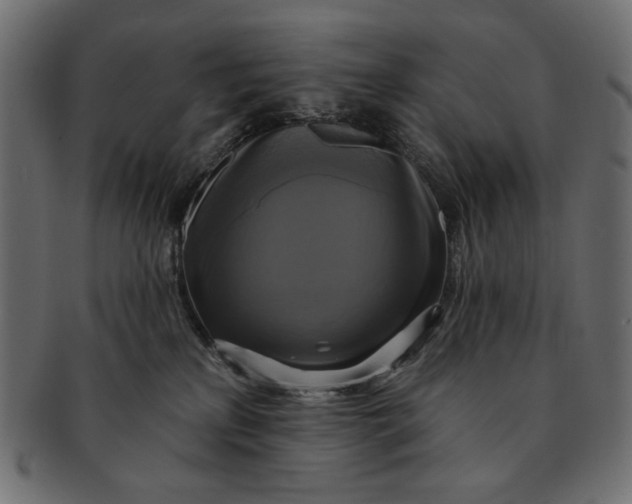 X0000091850233200709261213