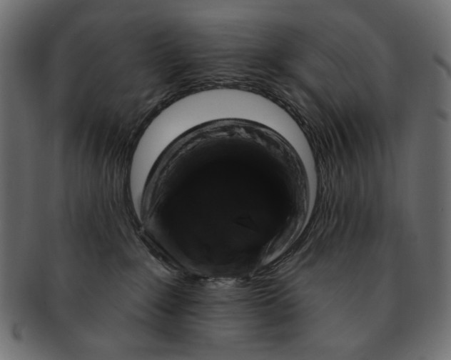 X0000091850235200709261213