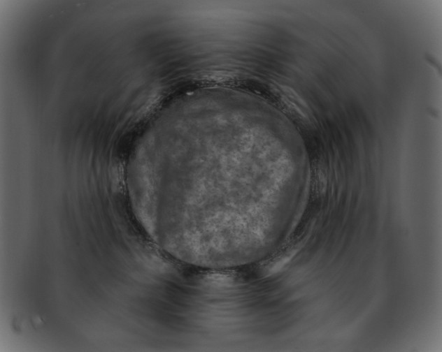 X0000091850236200709261213