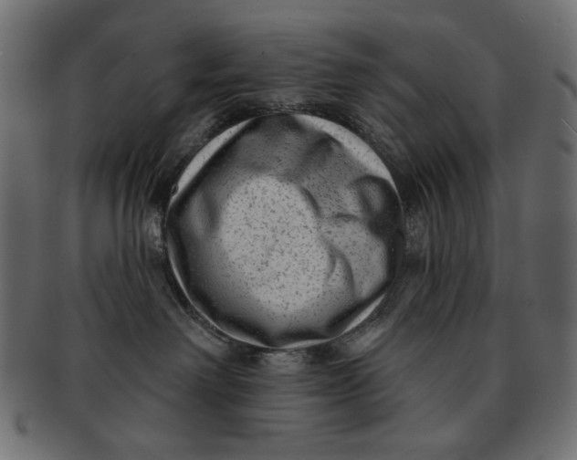 X0000091850238200709261213