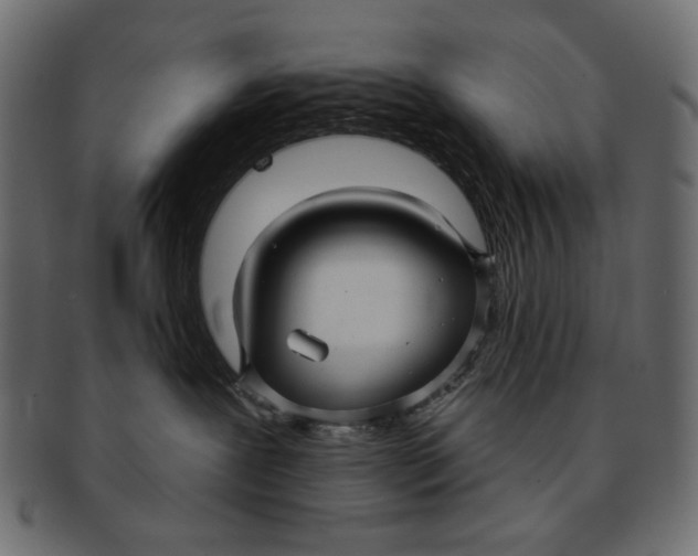 X0000091850239200709261213