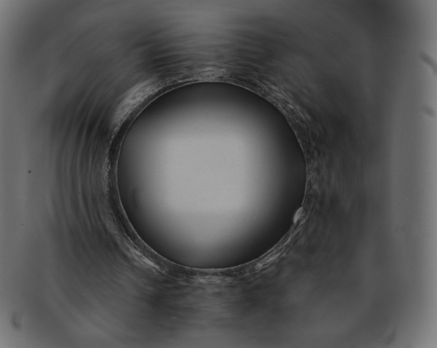 X0000091850242200709261213